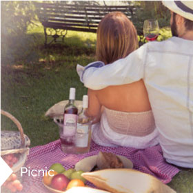 Picnic